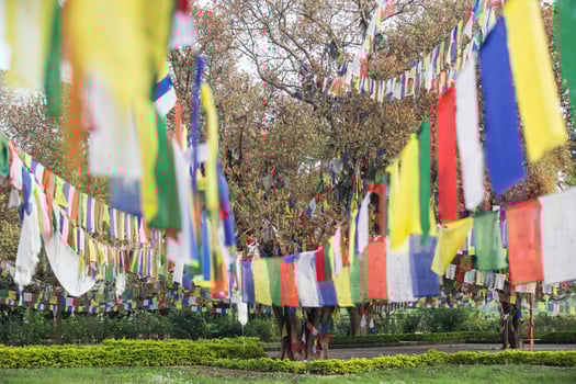 Buddhist praying flags in Lumbibi, Nepal photo