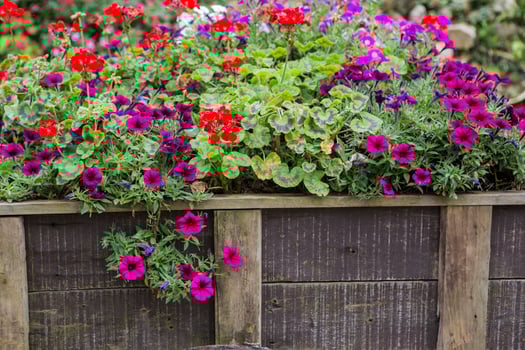 wooden fence with flowers photo