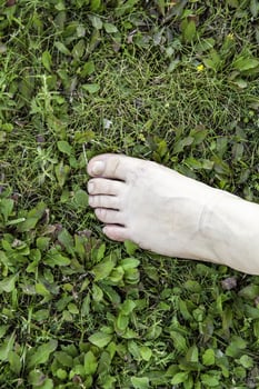 Bare foot in the grass photo