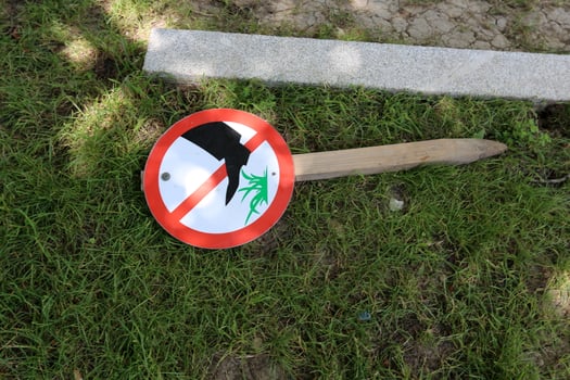 Road signs and signs in Israel photo