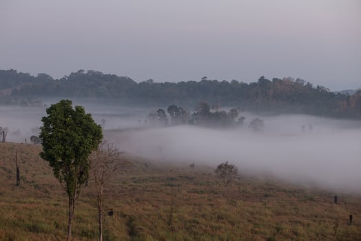 Fog mountain in the early morning sunrise photo