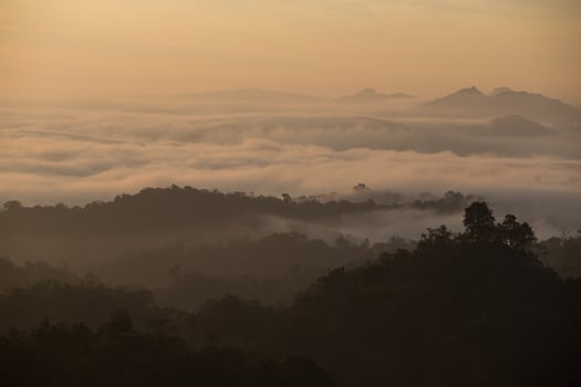 Fog mountain in the early morning sunrise photo