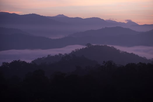 Fog mountain in the early morning sunrise photo