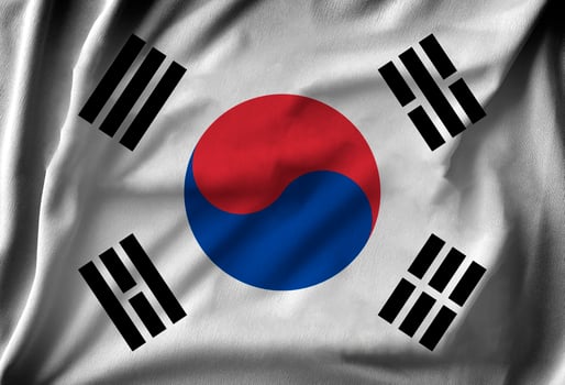 Flag of South Korea photo