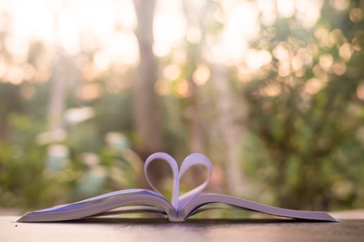 Blurry background of book page in heart shape with natural light photo