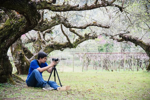 Toursit man taking photo in nature plum flower blossom garden