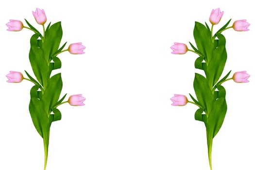 spring colorful flowers tulips photo