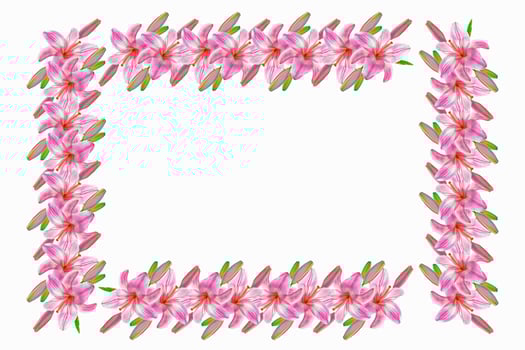 Bright lily flowers isolated on white background. photo