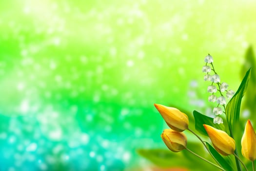 Spring landscape. tulip. flowers lily of the valley photo