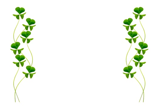 green clover leaves isolated on white background. St.Patrick 's Day photo