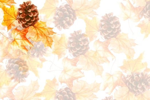 Bright colorful autumn leaves photo