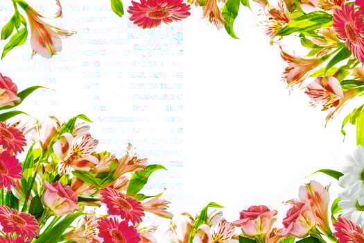 Bright colorful flowers isolated on a white background. photo