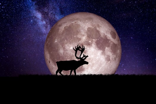 Night deer silhouette against the backdrop of a large moon element of the picture is decorated by NASA photo