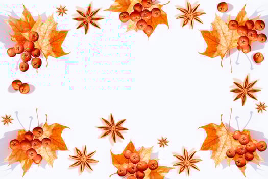 Bright colorful autumn leaves photo