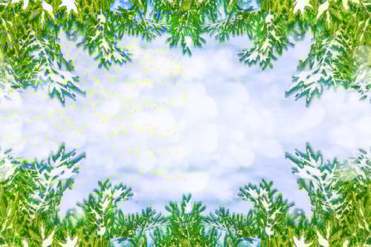 The branches of the snow covered tree Christmas tree photo