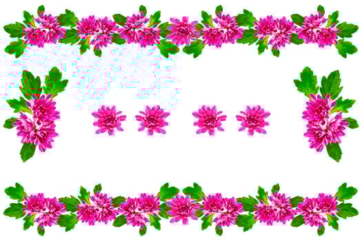 Colorful autumn flowers of chrysanthemum photo