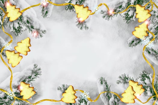 The branches of the snow covered Christmas tree. photo