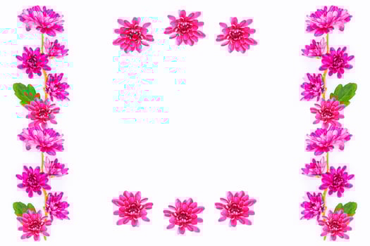 Colorful autumn flowers of chrysanthemum photo