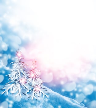Frozen winter forest with snow covered trees. photo