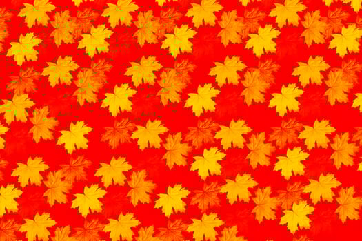 Bright colorful autumn leaves photo
