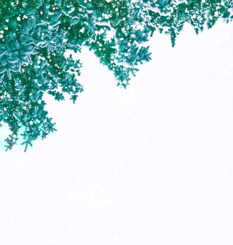 The branches of the snow covered tree Christmas tree photo