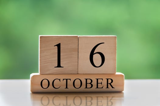 October 16 calendar date text on wooden blocks with copy space for ideas or text. Copy space and calendar concept photo