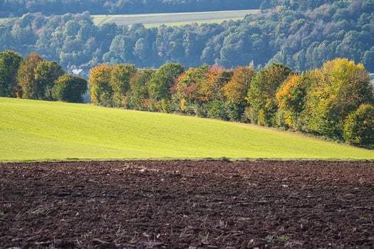 landscape with hills, fields, meadows, and agriculture. Hiking in nature. photo