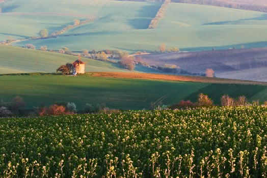 Majestic landscape of field in the evening. Windmill in the center of meadow photo