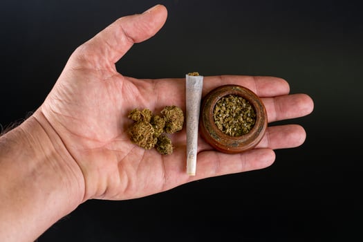 hand with joint buds and grinder full of marijuana photo