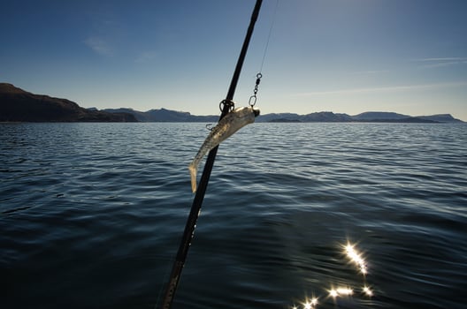 fishing vacation in Selje norway. Rod and reel are ready to fish. a paradise for anglers photo