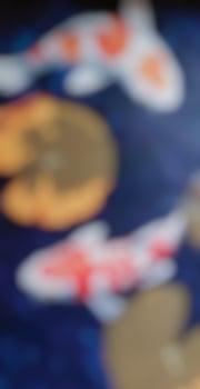 defocused abstract background of fisht and flora. photo