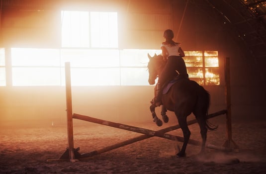 Majestic image of horse silhouette with rider on sunset background. The girl jockey on the back of a stallion rides in a hangar on a farm photo
