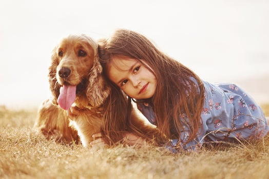 Feeling happy and embracing the pet. Cute little girl have a walk with her dog outdoors at sunny day photo
