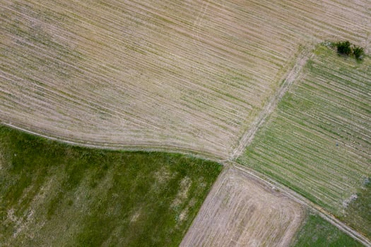 packed hay bale harvested fodder balls aerial view photo