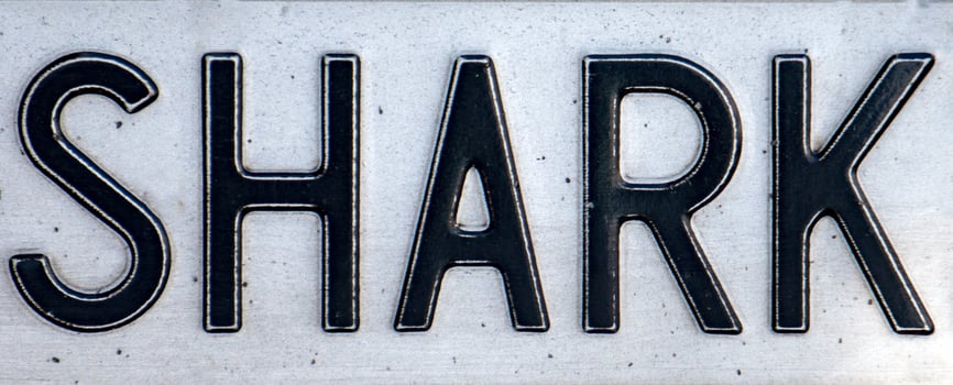 shark car plate photo