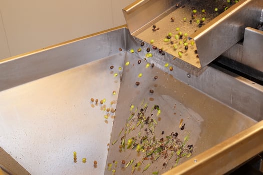 genuine olive oil mill production photo