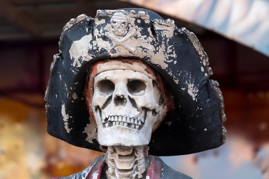 Fun fair carnival pirate skeleton photo
