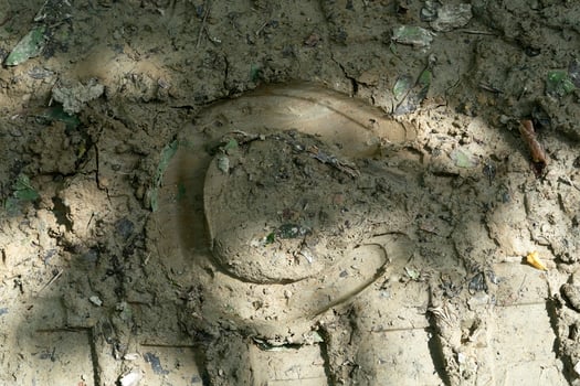 horseshoe foot on mud photo