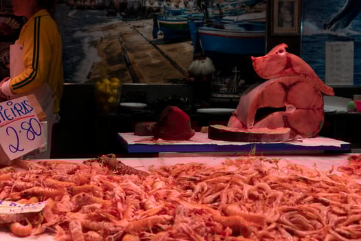 seafood for sale at the market photo