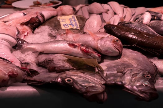 seafood for sale at the market photo