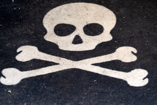 Jolly roger pirate symbol photo