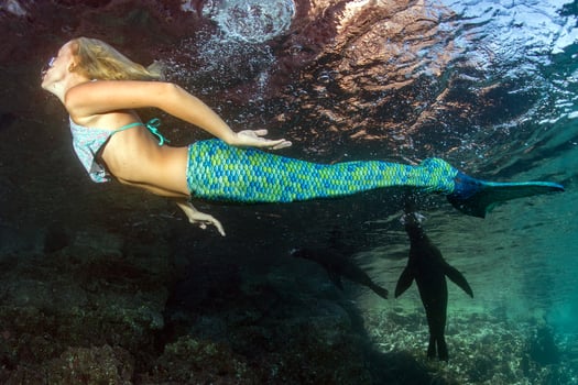 Blonde beautiful Mermaid diver underwater photo