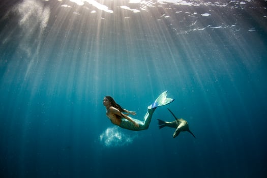 Mermaid swimming underwater in the deep blue sea with a seal photo