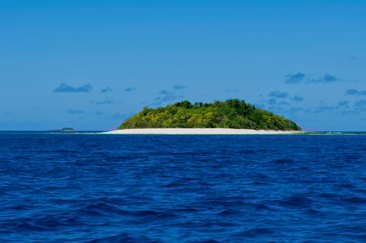 Tropical paradise white sand beach palm tree island photo