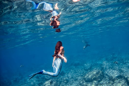 Mermaid swimming underwater in the deep blue sea with a seal photo