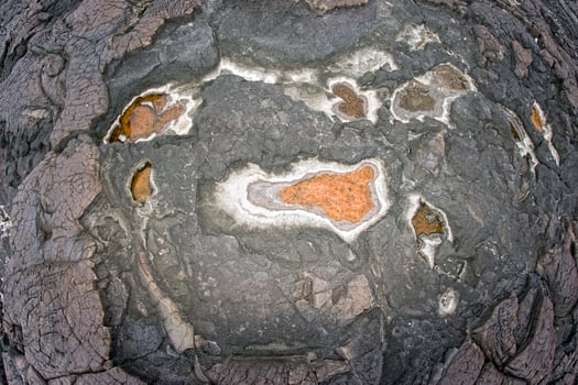 hawaiian black lava shore photo