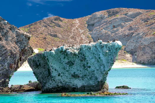 baja california beach photo