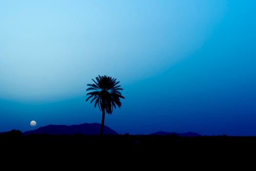 Maroc Marrakech sunrise desert view photo