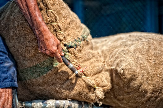 Asian male hands holding sack in a harbor photo