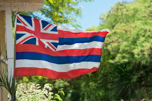 Hawaii flag weaving photo
